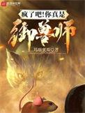 英雄岁月之王牌部队在线观看