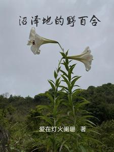 老张的哲学人物形象