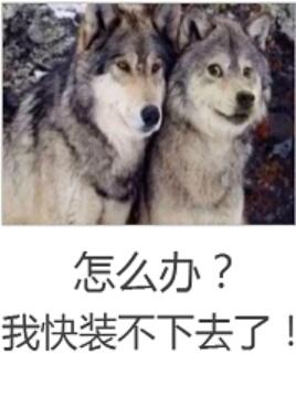 乌金血剑国语免费观看