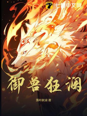 山之四季茶叶礼品盒装价格