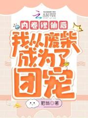 斯人若彩虹什么意思