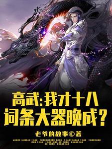 燃野少年的天空票房