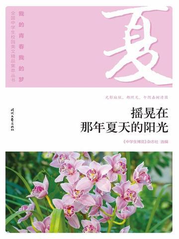 带着仓库到大明txt