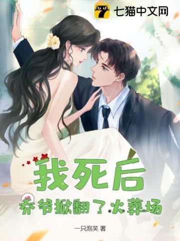 洛阳女儿行电视剧