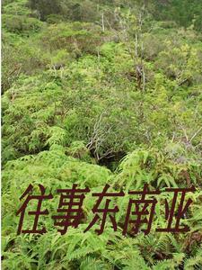 灵境行者女主几个