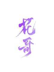 圣手医仙电视剧
