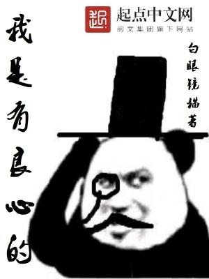 一个人的遭遇教案