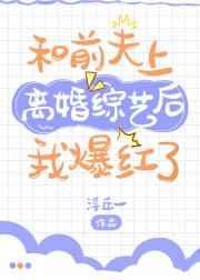 折高枝慕七免费阅读