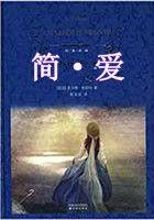 绯色黎明讲的是什么内容