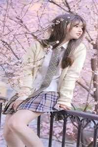 仙君踏月而来全文免费阅读