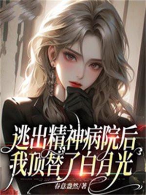 我被全横滨碰瓷了作者