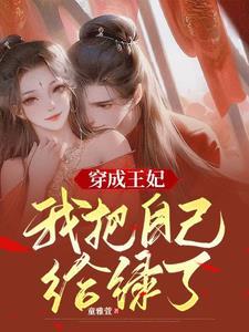 儒林外史第一回概括