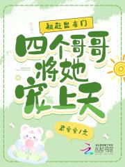 一个人的遭遇作者