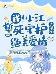 一个人的遭遇节选ppt课件