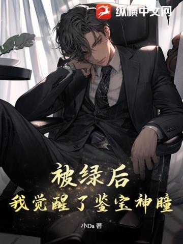 一个人的遭遇故事概述