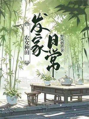 碧血洗银枪 电视剧